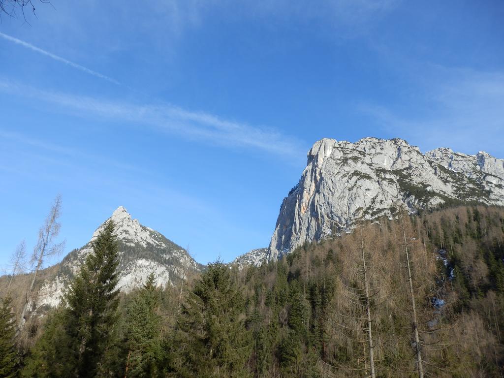 Apartments Saalachtal Lofer Εξωτερικό φωτογραφία