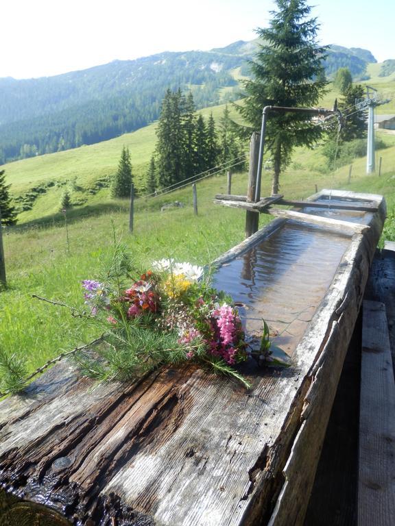 Apartments Saalachtal Lofer Εξωτερικό φωτογραφία
